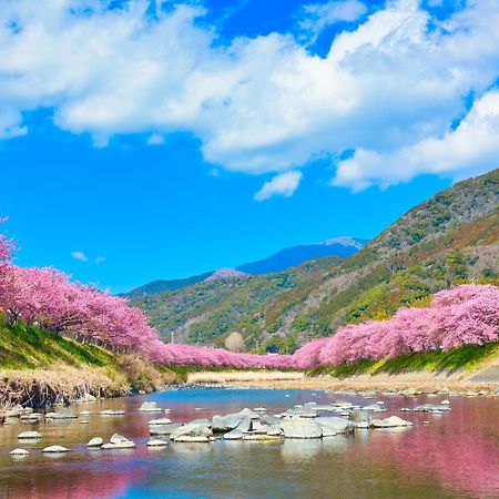 Ramjet Kisami Beach House Shimoda - Enjoy Sakura, Beach And Bbq! 外观 照片